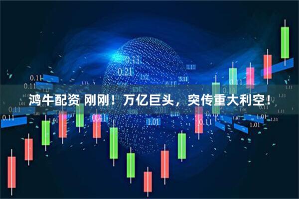 鸿牛配资 刚刚！万亿巨头，突传重大利空！