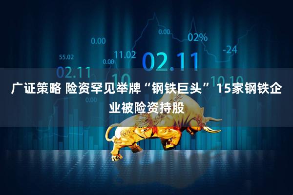 广证策略 险资罕见举牌“钢铁巨头” 15家钢铁企业被险资持股