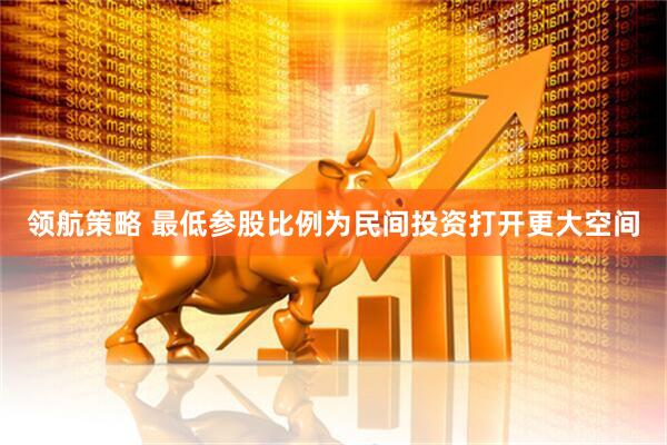 领航策略 最低参股比例为民间投资打开更大空间