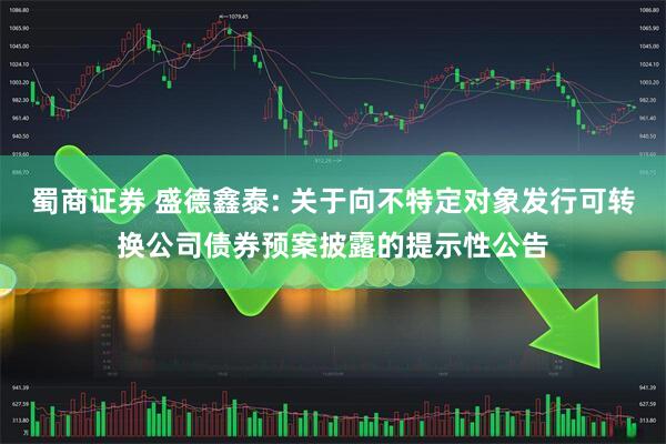 蜀商证券 盛德鑫泰: 关于向不特定对象发行可转换公司债券预案披露的提示性公告