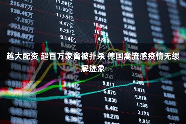 越大配资 超百万家禽被扑杀 德国禽流感疫情无缓解迹象