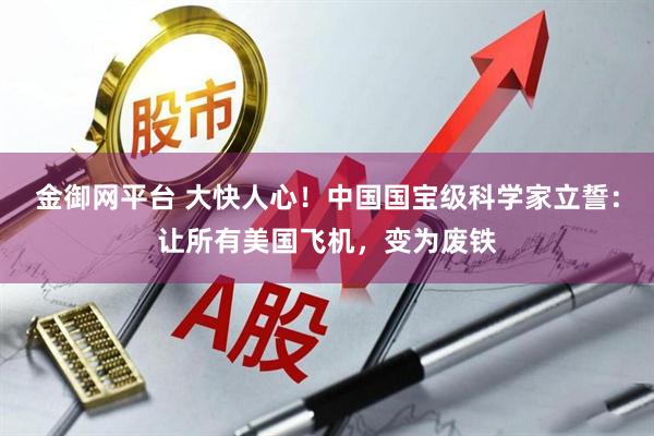金御网平台 大快人心!中国国宝级科学家立誓:让所有美国飞机,变为废铁