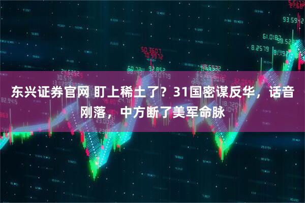东兴证券官网 盯上稀土了？31国密谋反华，话音刚落，中方断了美军命脉